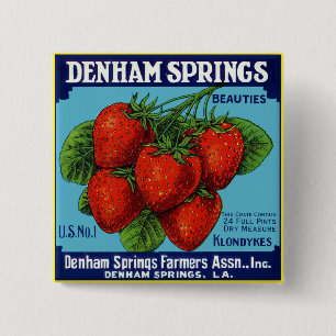 Denham Springs Beauties Strawberries 15 Cm Square Badge