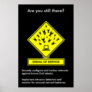 Denial of Service Security Awareness Poster