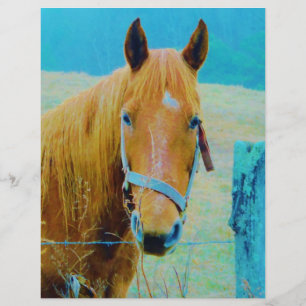 Denim blue tinted Horse