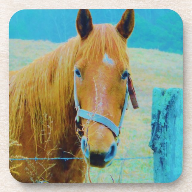 Denim blue tinted Horse Coaster (Front)