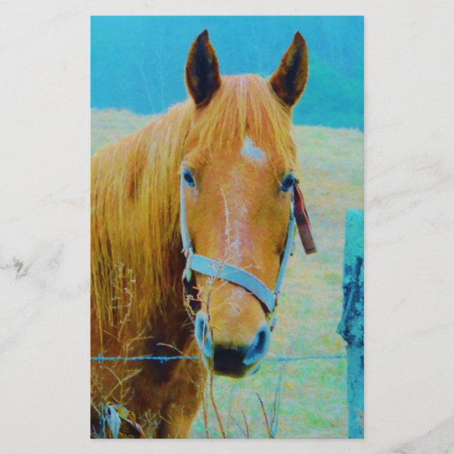 Denim blue tinted Horse Stationery (Front)