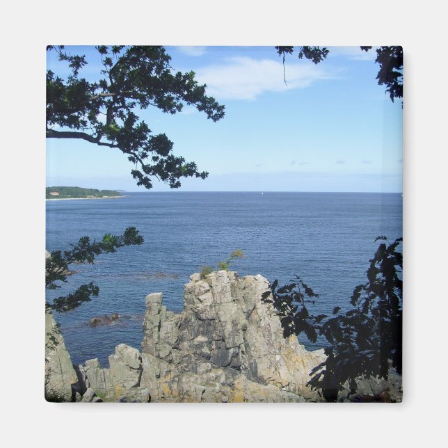 Denmark: Coast of Denmark Magnet (Front)