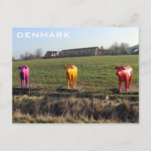 Denmark Colourful Cows Postcard! Postcard