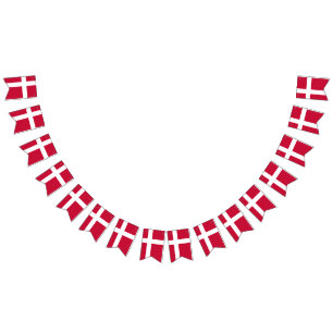 Denmark Flag