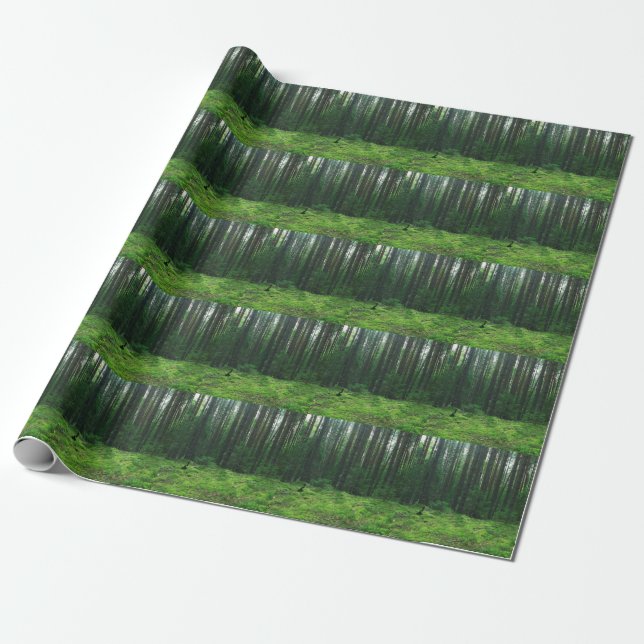 Dense Summer Forest: Landscape Panorama. Wrapping Paper (Unrolled)