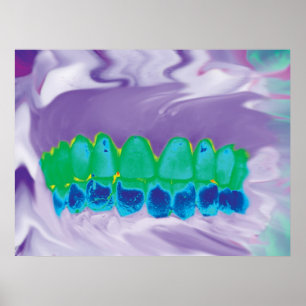 Dental anatomy featuring a colourful teeth model poster