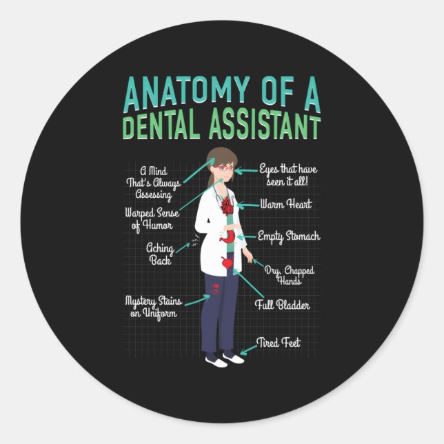 Dental Assistant Anatomy Of Dentist Hygienist Classic Round Sticker (Front)