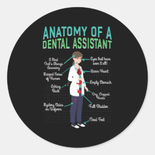 Dental Assistant Anatomy Of Dentist Hygienist Classic Round Sticker