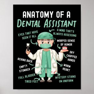 Dental Assistant Dental Anatomy Of A Dental Poster