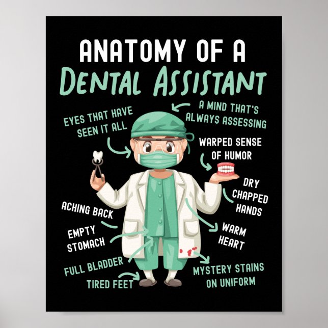 Dental Assistant Dental Anatomy Of A Dental Poster (Front)