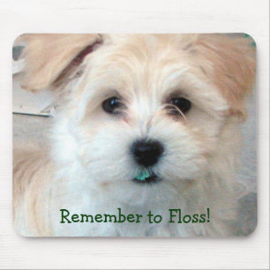 Dental Hygiene Puppy - Remember to Floss! Mouse Mat