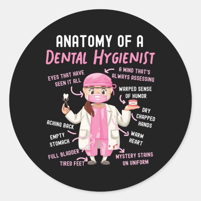 Dental Hygienist Anatomy Classic Round Sticker (Front)