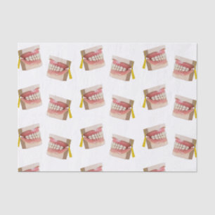 Dental School Graduation Party Gift Tissue Paper