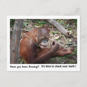 Dentist  Appointment Reminder Postcard