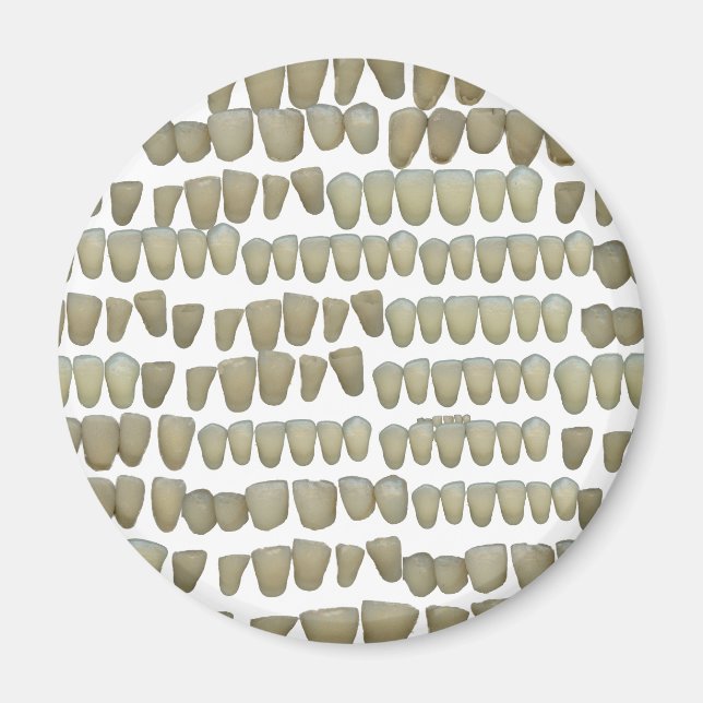 DENTIST DENTISTRY ORTHODONTICS ROTTEN TEETH MOUTH MAGNET (Front)