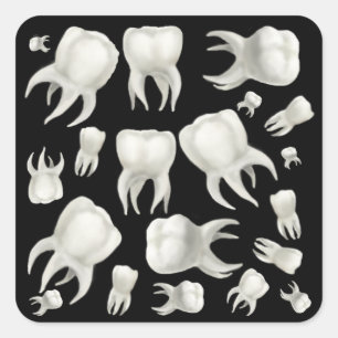 Dentist Dream Tooth Sticker