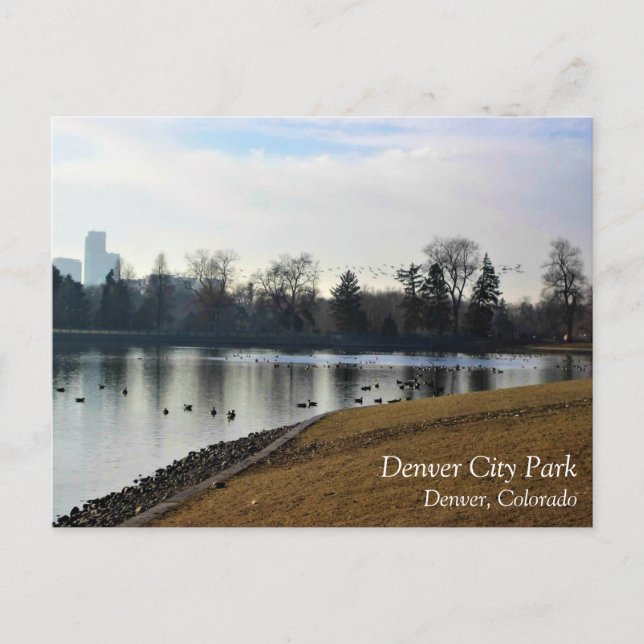 Denver City Park, Denver, Colorado Postcard (Front)
