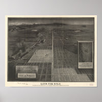 Denver Colorado "Lots for Sale" 1907 Panoramic Map