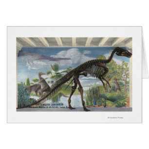 Denver, Colorado - Museum of Natural History