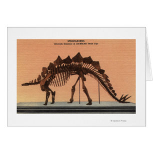 Denver, Colorado - Museum of Natural History 2