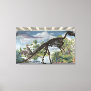 Denver, Colorado - Museum of Natural History 2 Canvas Print