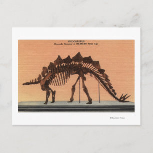 Denver, Colorado - Museum of Natural History 2 Postcard