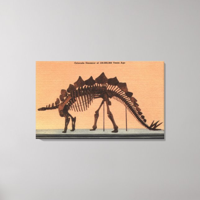 Denver, Colorado - Museum of Natural History Canvas Print (Front)