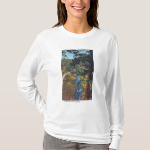 Denver Mountain Park, CO - Bear Creek Canyon T-Shirt