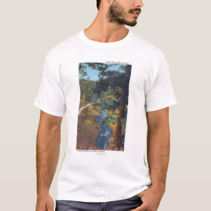 Denver Mountain Park, CO - Bear Creek Canyon T-Shirt
