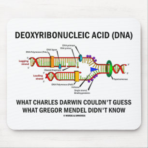 Deoxyribonucelic Acid (DNA) Mendel Darwin Mouse Mat