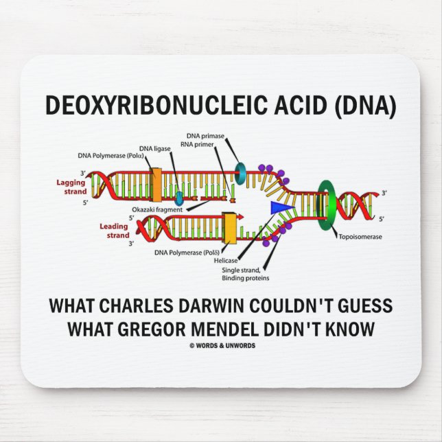 Deoxyribonucelic Acid (DNA) Mendel Darwin Mouse Mat (Front)