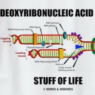 Deoxyribonucleic Acid (DNA) Stuff Of Life T-Shirt