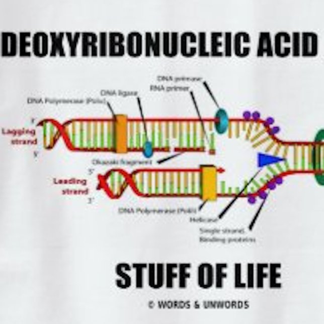 Deoxyribonucleic Acid (DNA) Stuff Of Life T-Shirt (Molecular biology humor tee featuring DNA replication along with caption "Stuff Of Life")