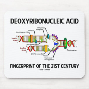 Deoxyribonucleic Acid Fingerprint Of 21st Century Mouse Mat