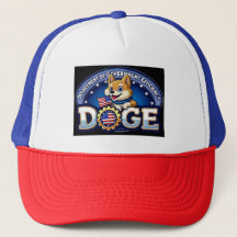 Department od Government Efficiency (DOGE)