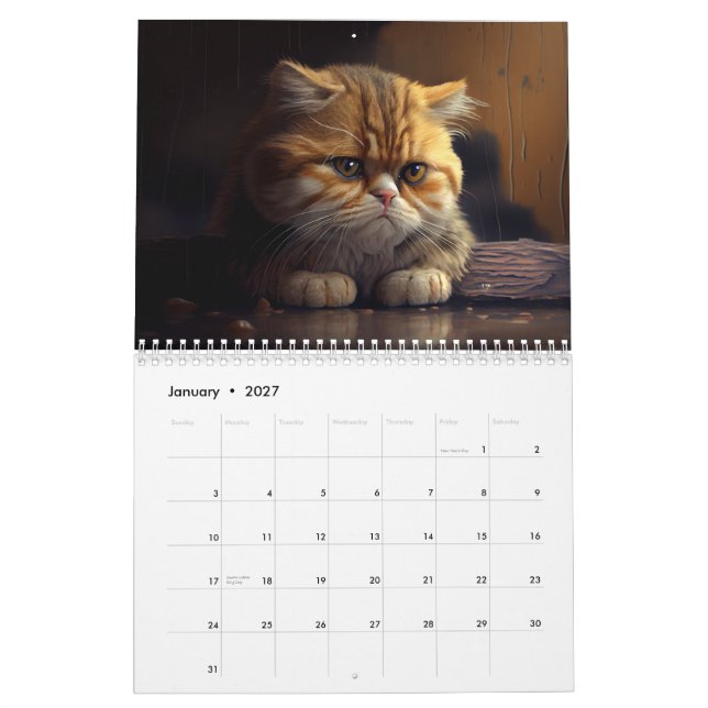 Depressed Cats 2024 Calendar (Jan 2027)