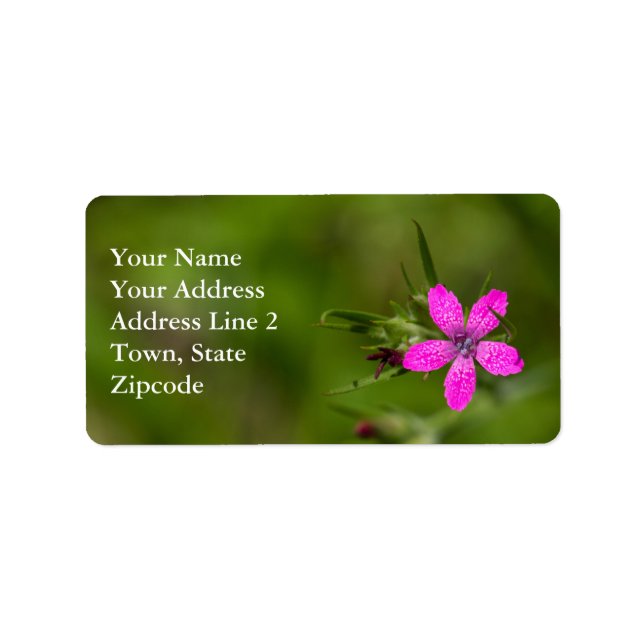 Deptford Pink Wildflower Floral Labels (Front)