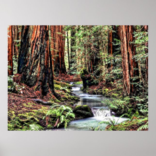 Depth 92 Bristle Lum Focus Poster (Front)