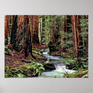 Depth 92 Sketch Poster