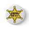 Deputy Sheriff Pin Back Badge