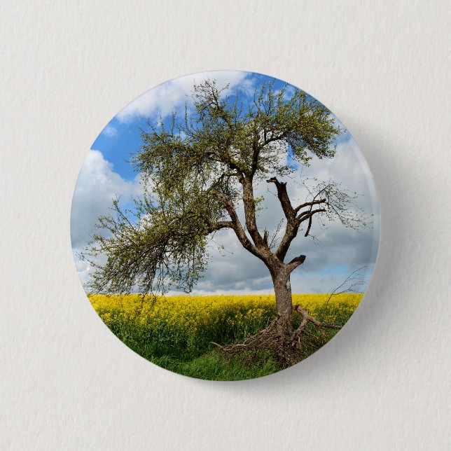 Der alte Baum 6 Cm Round Badge (Front)