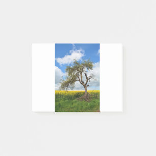 Der alte Baum Post-it Notes