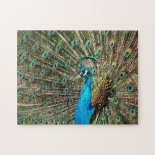 Der blaue Pfau Jigsaw Puzzle