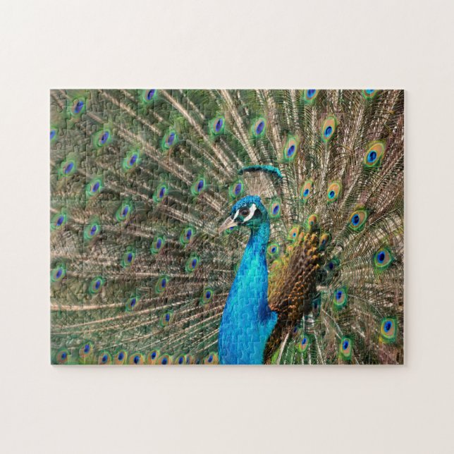 Der blaue Pfau Jigsaw Puzzle (Horizontal)