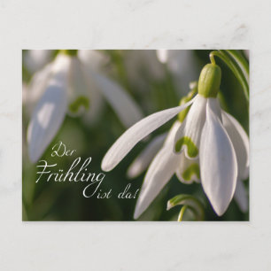 Der Frühling ist da! Postcard