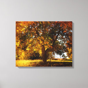 Der Herbstbaum Canvas Print