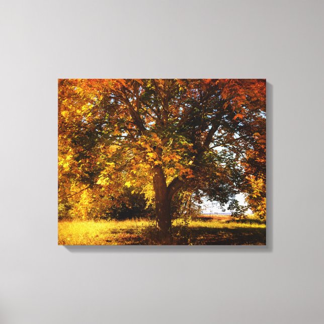 Der Herbstbaum Canvas Print (Front)