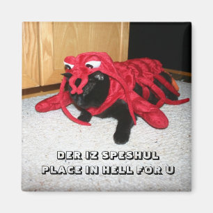 DER IZ SPESHUL PLACE IN HELL FOR U MAGNET