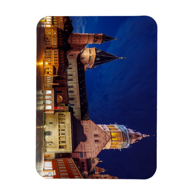 Der Mainzer Dom in Rheinland Pfalz Magnet (Vertical)