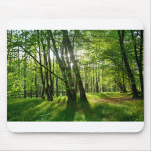 Der Wald im Frühling Mouse Mat
